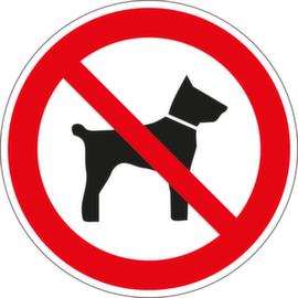 Verbotsschild Mitführen von Hunden verboten, Aufkleber, Standard