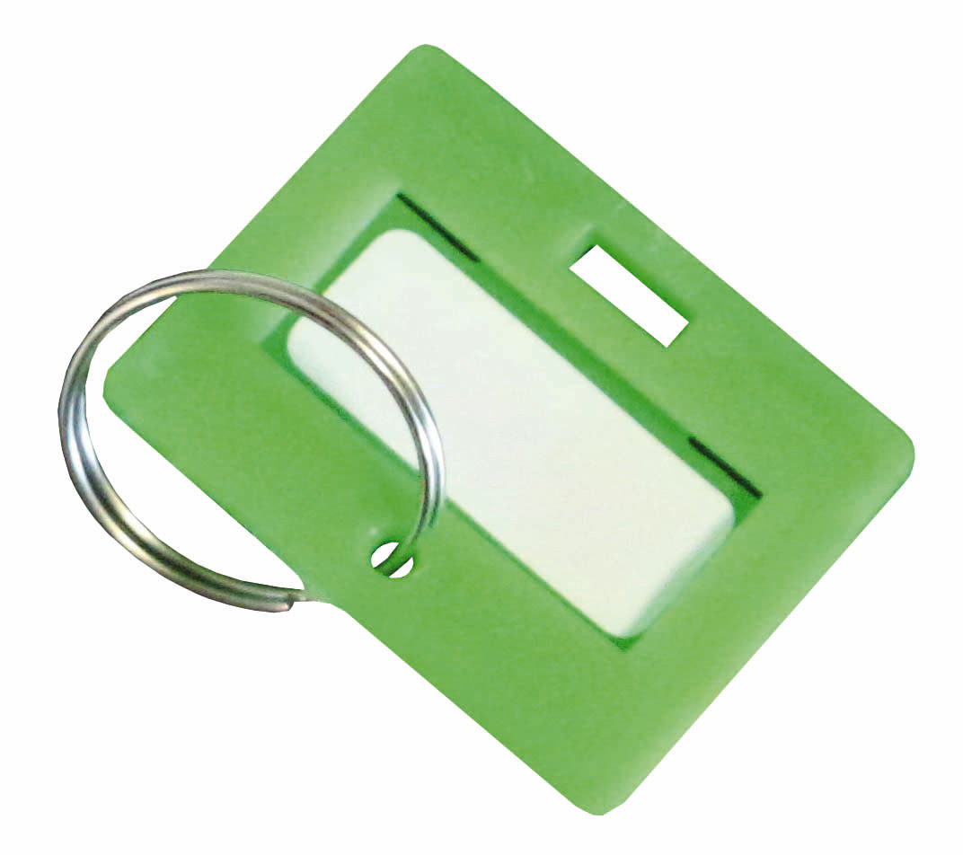Schlüsselanhänger für Schlüsselschrank, grün Standard 1 ZOOM
