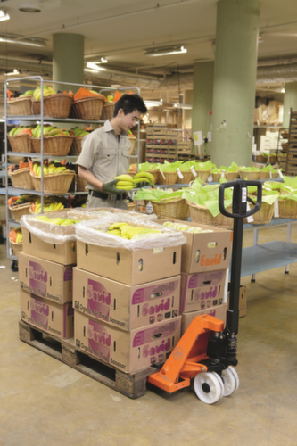 Toyota BT-Handhubwagen BT Lifter, 2300 kg Traglast, Nylon/Nylon