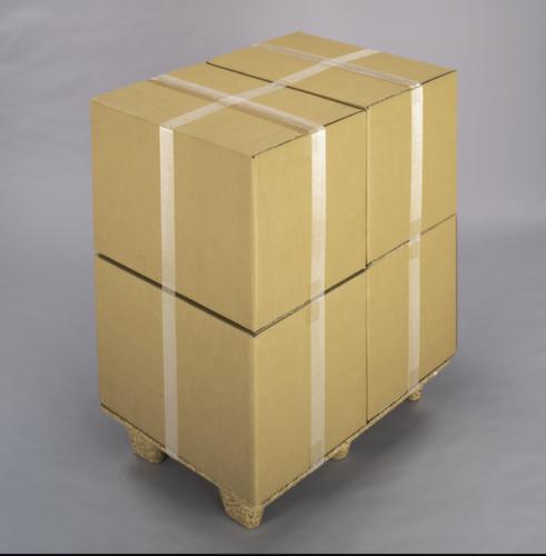 Filamentband längs und quer verstärkt, Länge x Breite 50 m x 50 mm