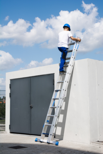 Krause Mehrzweckleiter STABILO® Professional +S mit Sprossen und Stufen, 2 x 12 rutschsicher profilierte Sprossen und Stufen