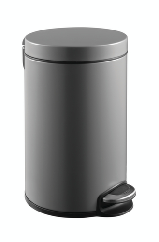 TretabfallbehÀlter EKO Serene, 8 l, platin