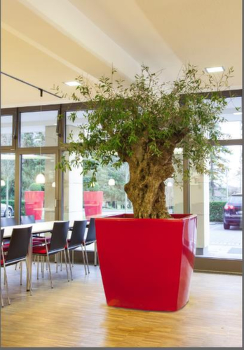 PflanzkĂŒbel degardoÂź TREVIA 900 Q