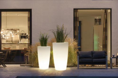 PflanzsÀule degardoŸ ROVIO IV