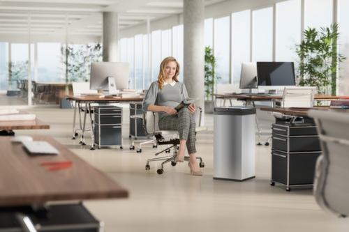 Hailo AbfallbehĂ€lter Big-Box Swing XL mit selbstschlieĂendem Schwingdeckel, 52 l