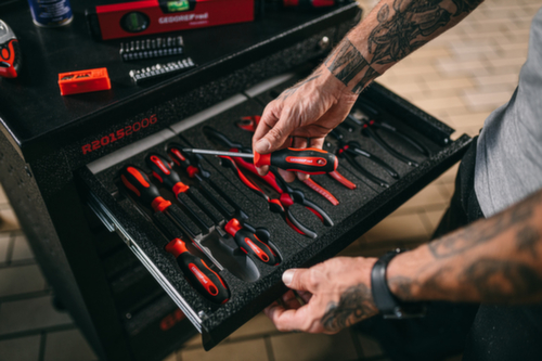 GEDORE R38002006 2K-Schraubendrehersatz PH+SL 6-teilig