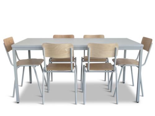 Kantinenset, Dekor natur/grau