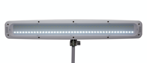 MAUL Dimmbare LED-Tischleuchte MAULwork, Licht kaltweiß (tageslichtweiß), weiß