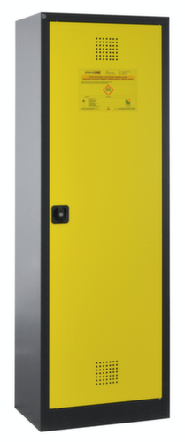 Lacont Chemikalienschrank storeLAB