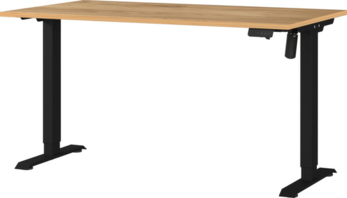 Elektrisch höhenverstellbarer Schreibtisch GW-PROFI 3.0 8023