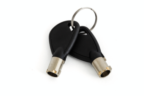 Phoenix Safe Schlüsselschrank CYGNUS mit Einwurfschlitz