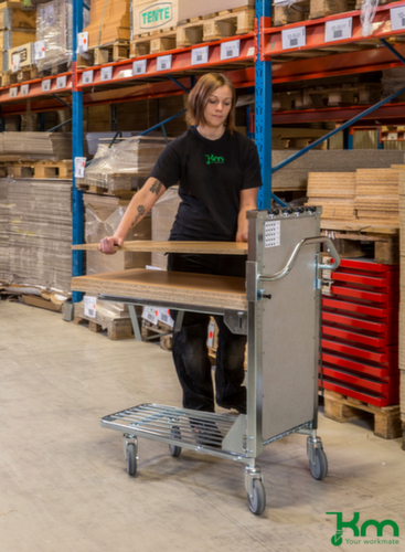 Kongamek Stirnwandwagen