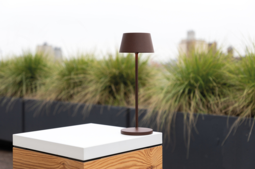 MAUL LED-Tischleuchte MAULnina, Licht warmweiß, braun