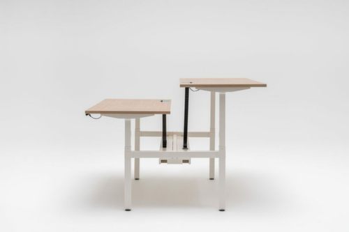 .mdd Elektrisch höhenverstellbarer Doppel-Schreibtisch OGI DRIVE Bench