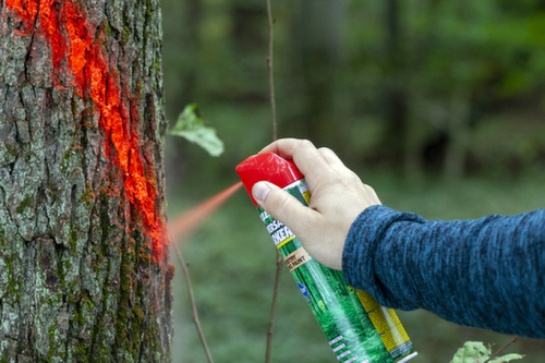 a.m.p.e.r.e. Markierfarbe Universal Marker für die Forstwirtschaft, orange