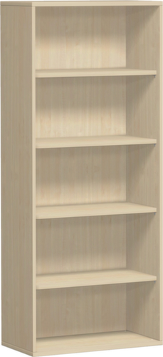 Gera Rayonnage de bureau Pro avec paroi arrière, largeur 800 mm, 5 HC