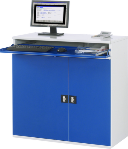 RAU Armoire informatique 60, RAL7035 gris clair/RAL5010 bleu gentiane