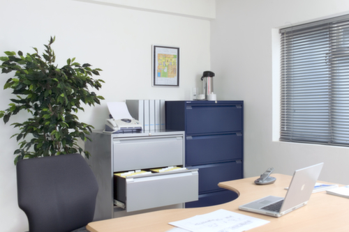 Bisley Armoire pour dossiers suspendus, 4 extensions