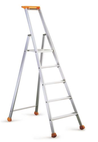 Escabeau professionnel