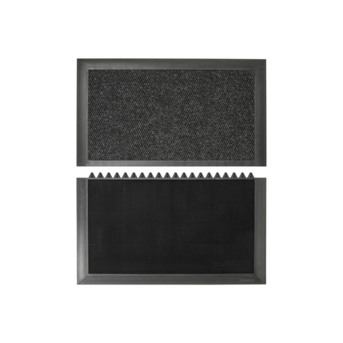 Tapis d'entrée désinfectant Sneek avec 2 zones