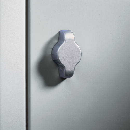 C+P Armoire vestiaire Classic avec 2 compartiments verrouillables ensemble, largeur de compartiment 300 mm