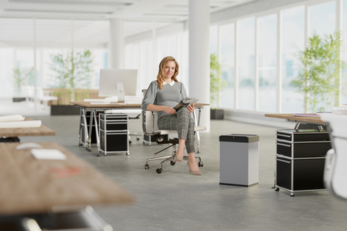 Hailo Poubelle Big-Box Swing L avec couvercle oscillant à fermeture automatique, 35 l, argent