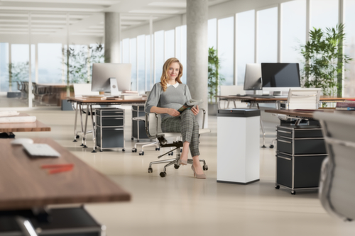 Hailo Poubelle Big-Box Swing XL avec couvercle oscillant à fermeture automatique, 52 l, blanc