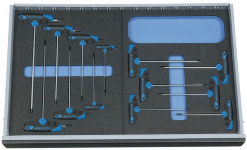 2005 CT2-2143 Jeu de tournevis d'angle KTX dans le module Check-Tool