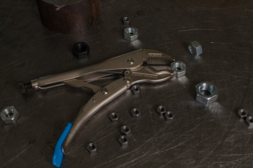 GEDORE 137 10 Pince de préhension 10