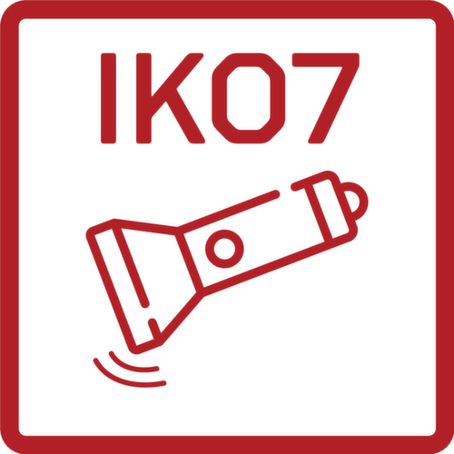 R95700089 Mini lampe de travail