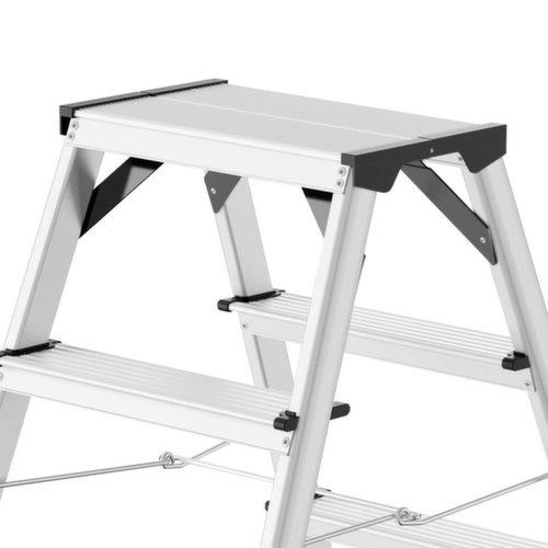 Hailo Double échelle à marches StandardLine D60