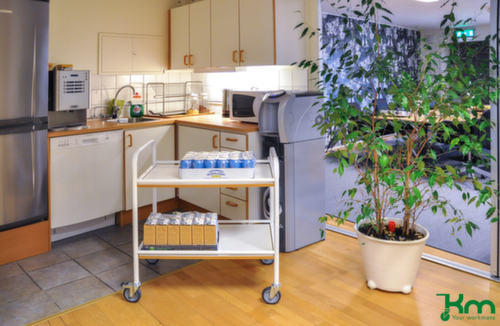 Kongamek Chariot pour l'alimentaire, force 100 kg, 2 plateaux