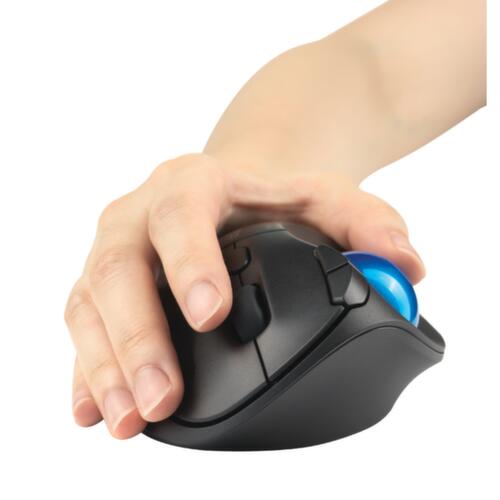 Kensington souris de PC avec boule ProFit