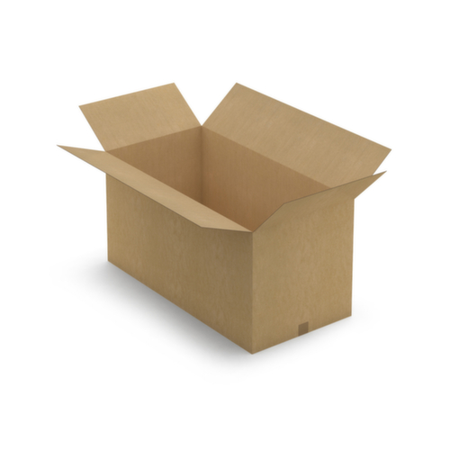 Caisse carton brune RAJA