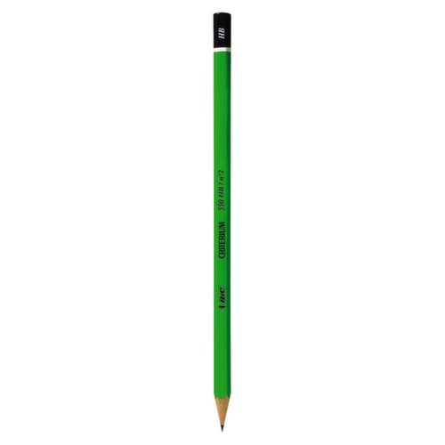 Crayon BIC®