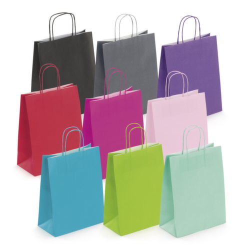 Sac kraft à poignée torsadée RAJA