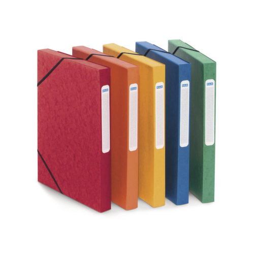 Chemise 3 rabats en carton RAJA