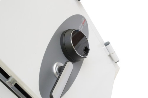 Phoenix Safe Armoire coupe-feu Datacare