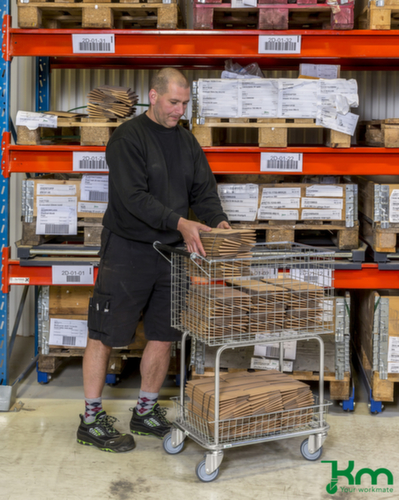 Kongamek Chariot à paniers, force 100 kg, 2 plateaux
