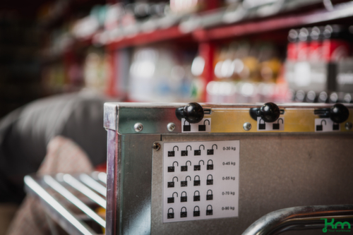 Kongamek Chariot à ridelles