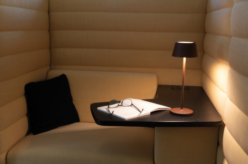 MAUL Lampe de table à DEL MAULnina, lumière blanc chaud, marron