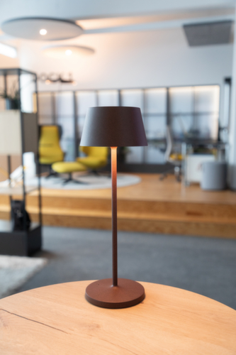 MAUL Lampe de table à DEL MAULnina, lumière blanc chaud, marron