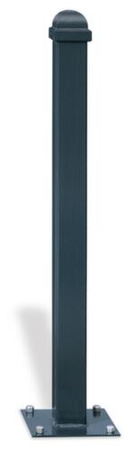 Stilpoller mit Halbkugelkopf