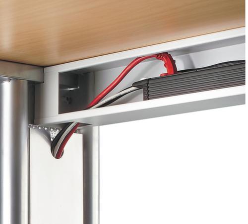 Schreibtisch Terra Nova mit C-Fußgestell, Breite x Tiefe 1600 x 800 mm, Platte lichtgrau