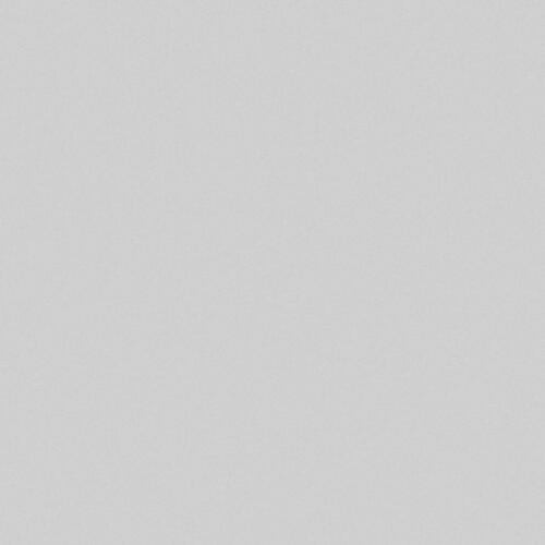 Nowy Styl Trennwand E10, Höhe x Breite 1545 x 800 mm