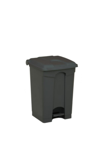 Tretabfallbehälter, 45 l, grau, Deckel grau
