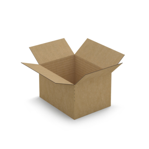 Blitzboden-Aufrichtekarton Varia Standard für leichte Produkte