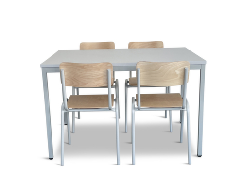 Kantinenset, Dekor natur/grau