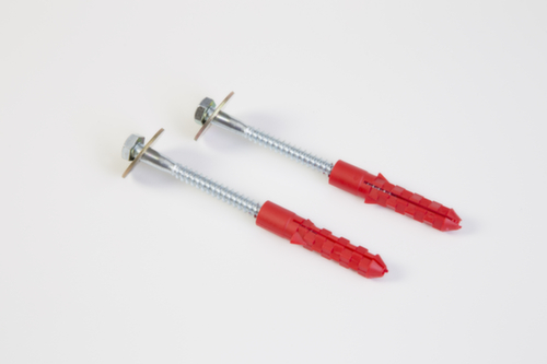 Phoenix Safe Wert- und Brandschutzschrank Fire Ranger