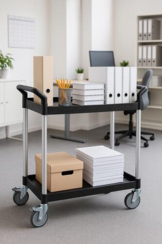 UDOBÄR Kunststoff-Etagenwagen 793x510 mm, Traglast 180 kg, 2 Etagen